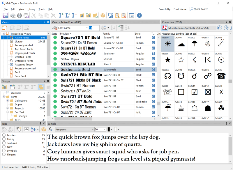 MainType interface overview – advanced font manager displaying font library, groups, preview panel and tagging tools